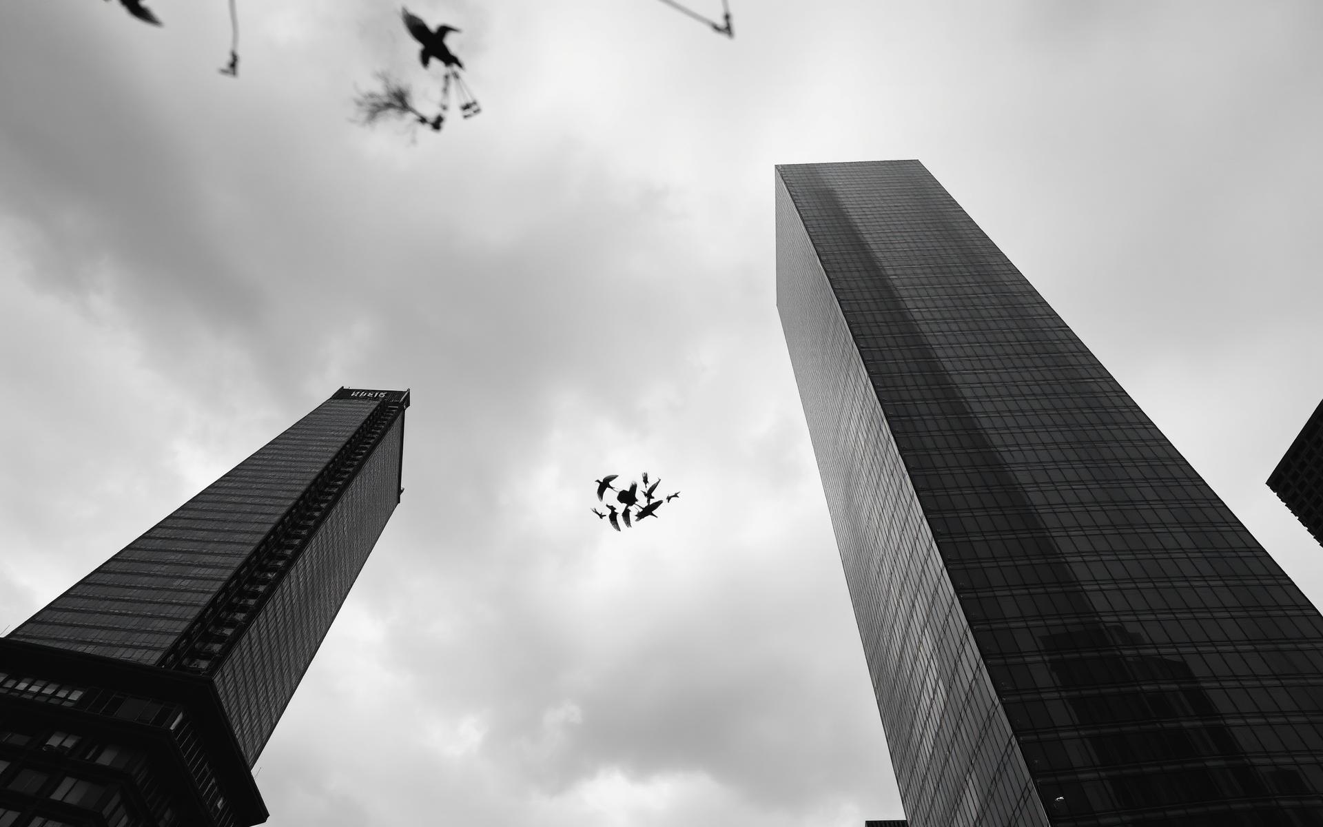 Financial district